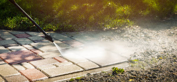 Best Animal Enclosure Cleaning  in Sallisaw, OK